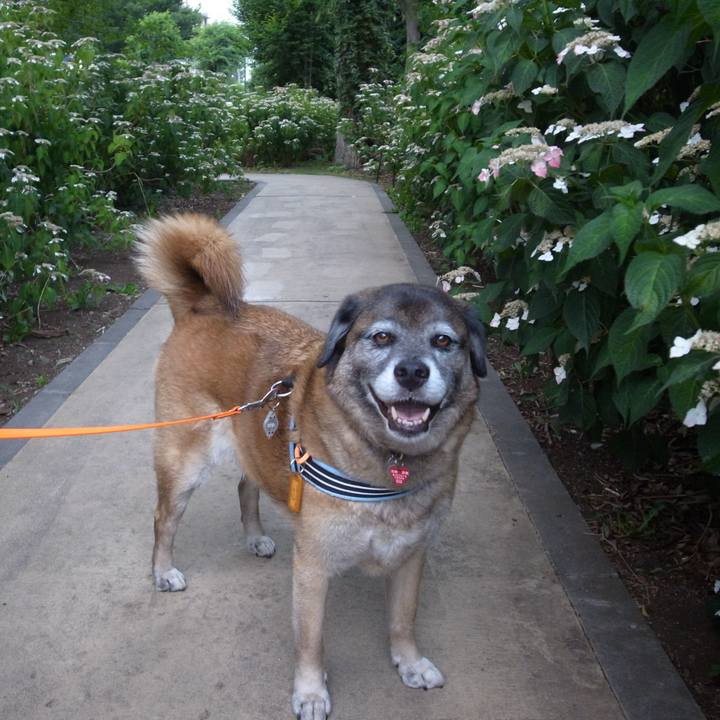 C160ac5b 0f22 4a81 8075 964d8fefaec6 1609201990797