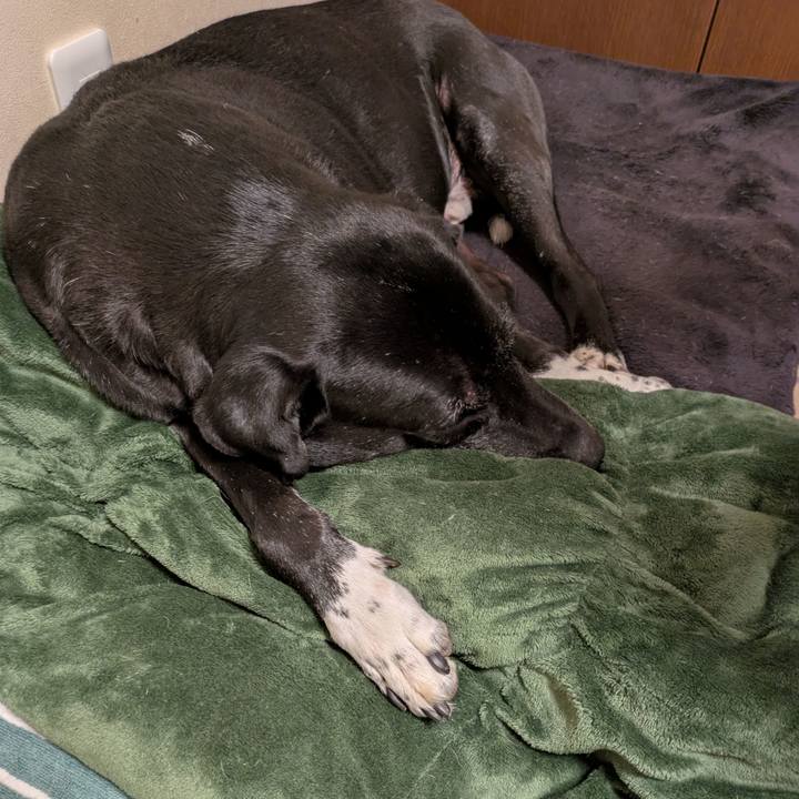 C160c840 ff22 48e4 a8e0 a2e1a4d4c3af 1739018828506