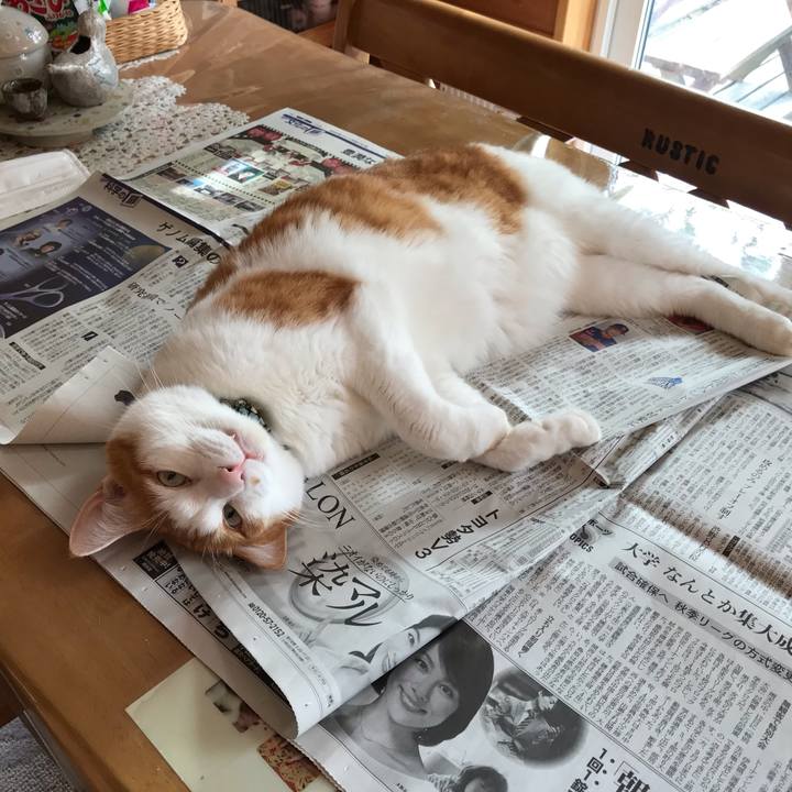 C160d59a 0295 4eb0 a725 700d5893e937 1632319839884