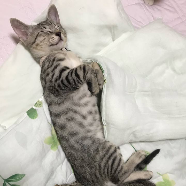 C160eef3 5b4a 46e9 80b2 b76d8792ab1e 1563931120243