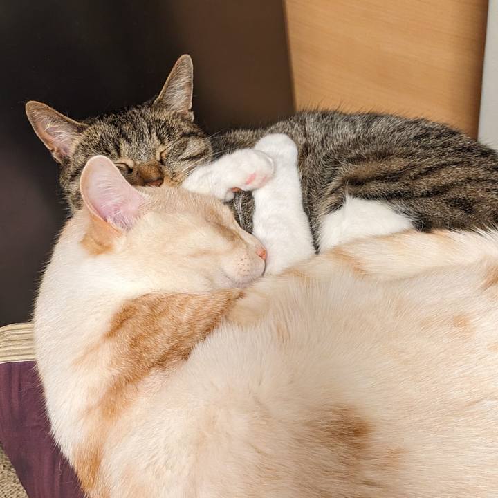 C1612fb3 3dc5 4030 b592 132942aac220 1714660191681