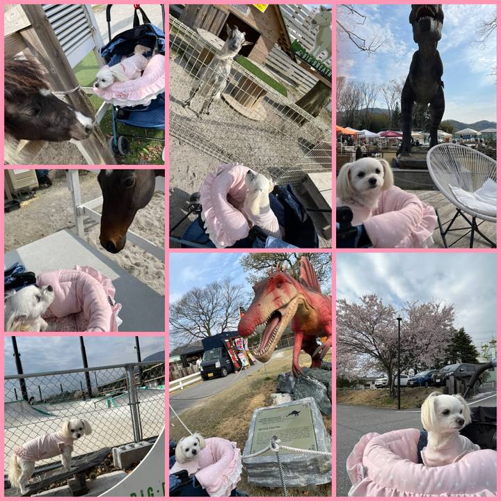 C16130e6 85f6 4622 ab5a 1ac8a13914e6 1680428273747