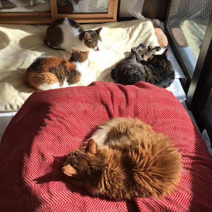 C1615c8e dc53 4e1c 8f5a 54e2af1aac01 1512732695146