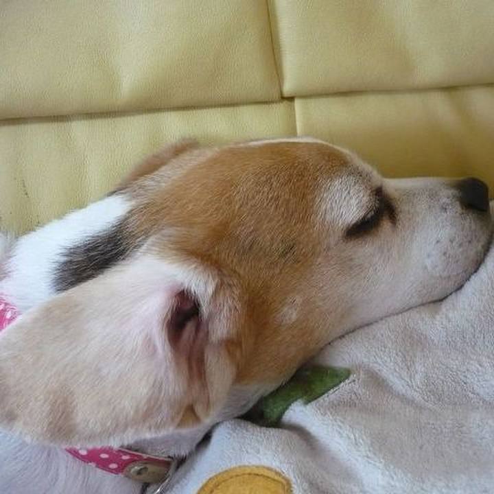 C1618709 4aea 4368 9b29 4dc5358e8f98 1767828117671