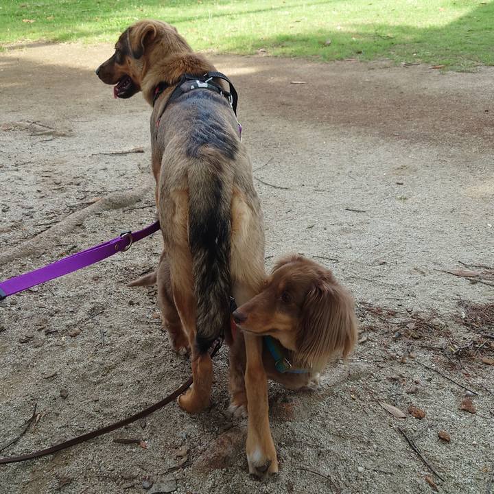 C161b097 72a7 4df2 b8dc 43fd5c2846d4 1687044002999