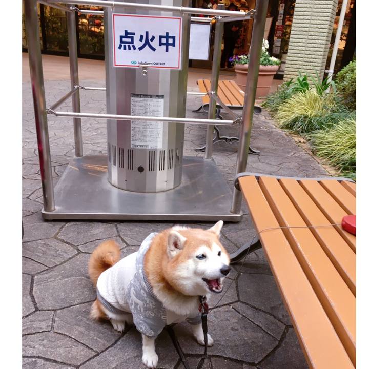 C1620a6a 1041 4420 810c c80ab550761d 1551268588066