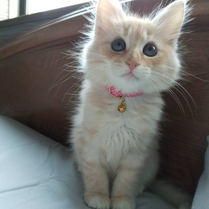 C1620cdb 8d3f 4304 b37c 8c85797c1b1a 1604183593833