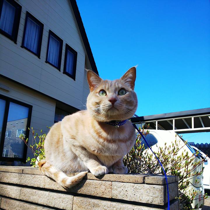 C16228ef a132 46ab bd8a 8144e5c1d013 1588659947590