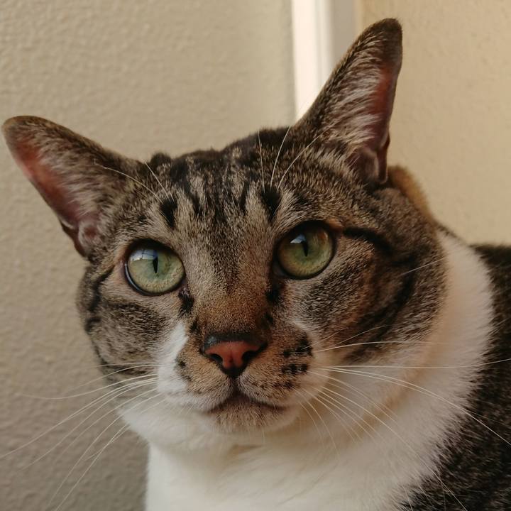 C1623b39 3cbb 40d9 a494 655a7fabfb24 1543621502946