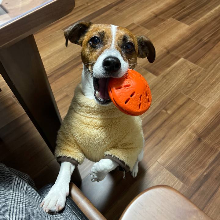 C1623e5f 7f0d 49d3 a929 f1a3a0e7b1da 1644054514373