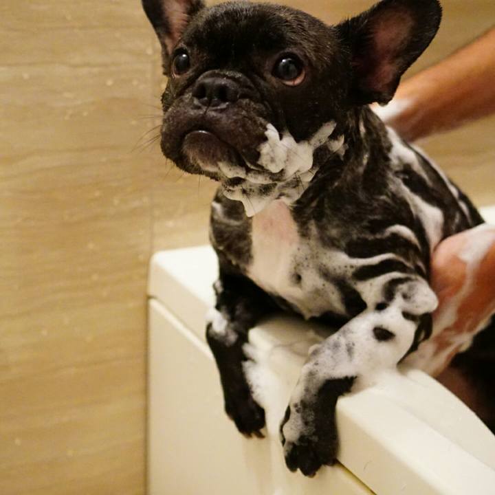 C162520c 59ae 4171 bc9d 81b7529a1f82 1530189750739