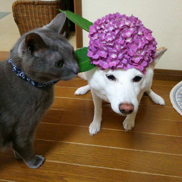 C1629e4b 4b22 4de3 9148 501d9c396580 1561430535911