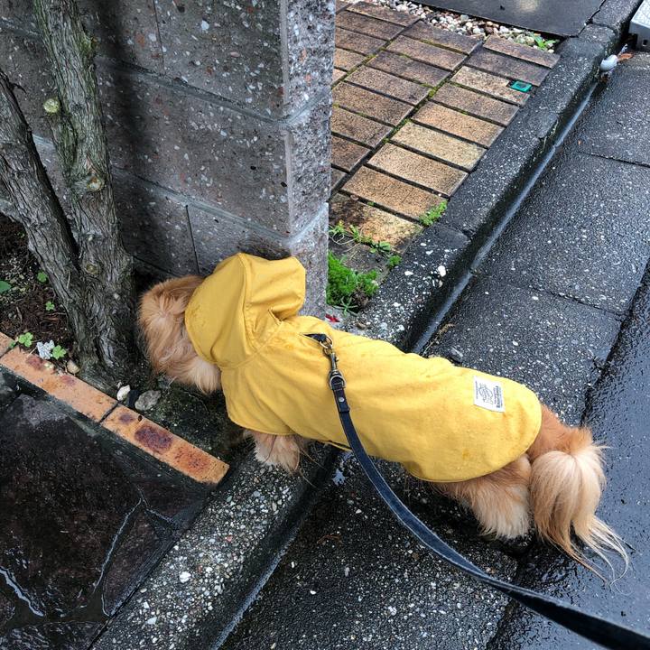 C162ac26 235d 43a9 8b71 e384ffe363ec 1562452256472