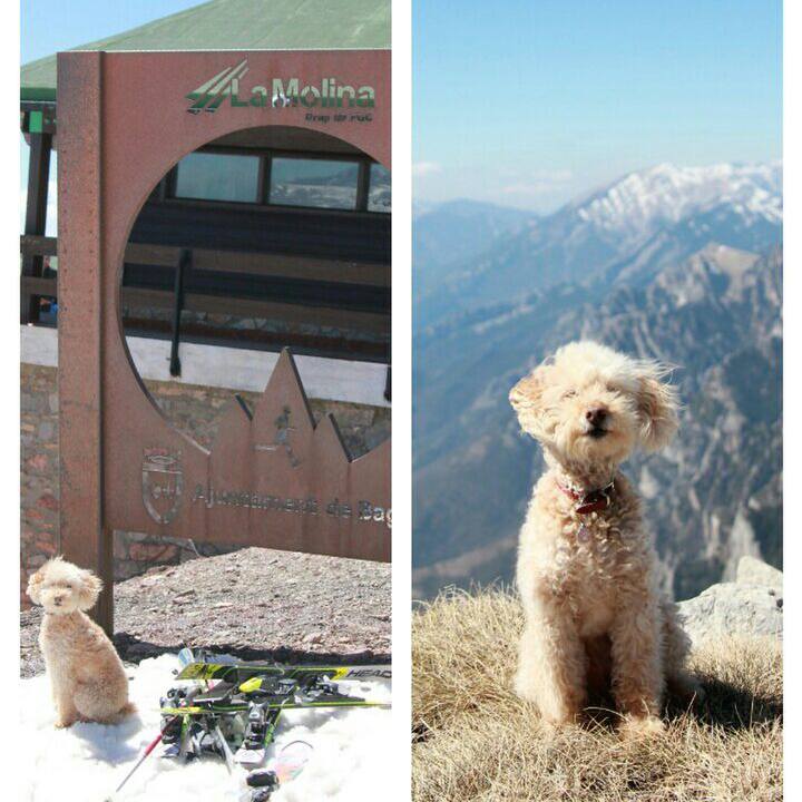 C162c94d 5ce1 4525 8ea4 2631733b1781 1554240589888