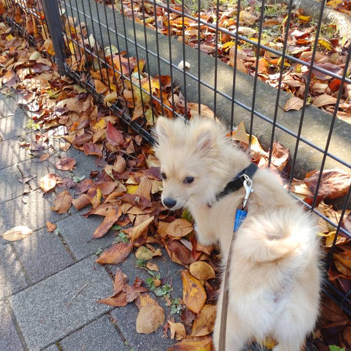 C162fc7e 48dc 4c63 8df1 9c34c34939f4 1727998859651