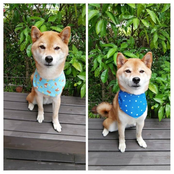 C163195d c5ff 49c0 a8f6 ad599cd78457 1592275389285