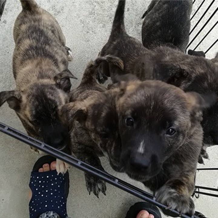 C163553b 745d 47f2 ad44 d2c7cca744fc 1600144369298