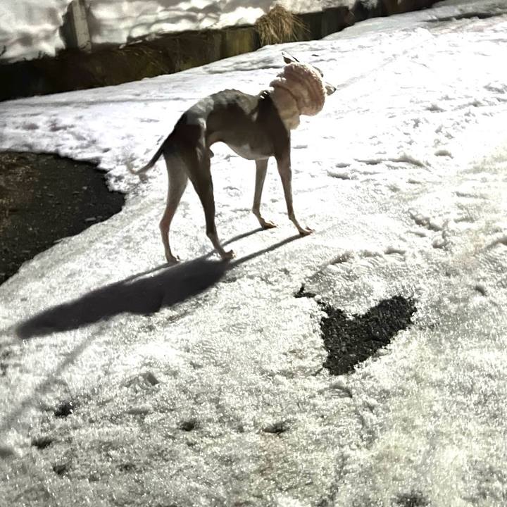 C1635ca8 b2fb 4cfd ade5 7e88caed60db 1771575788919