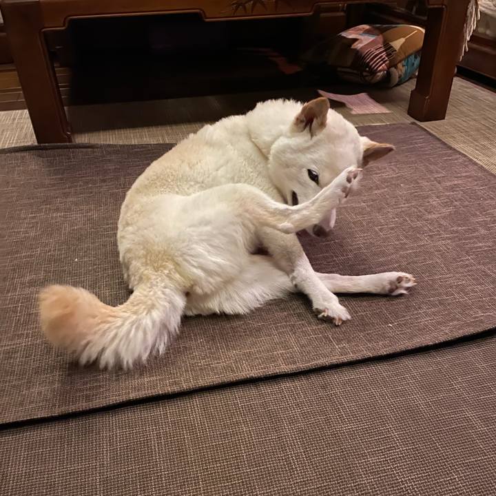 C1636171 44dd 41af 8de1 65a9a5caf9de 1660578785206