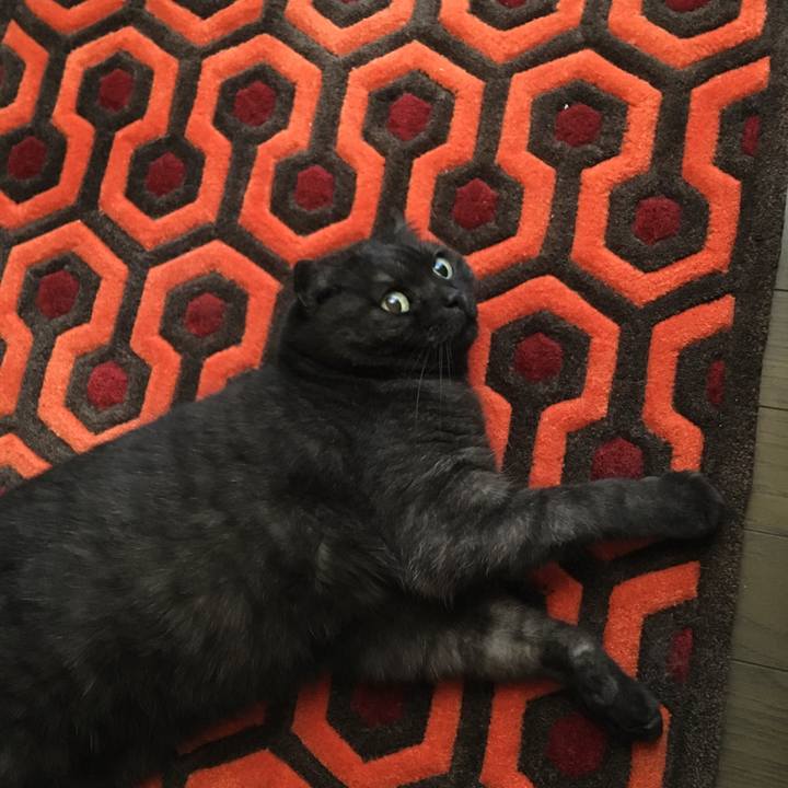 C1638e1c f4de 46a4 a805 9d1546159b07 1530313926680