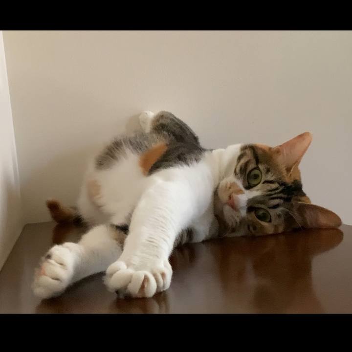 C163be8a 8e35 4a97 86c0 88540d2cda94 1724629551283