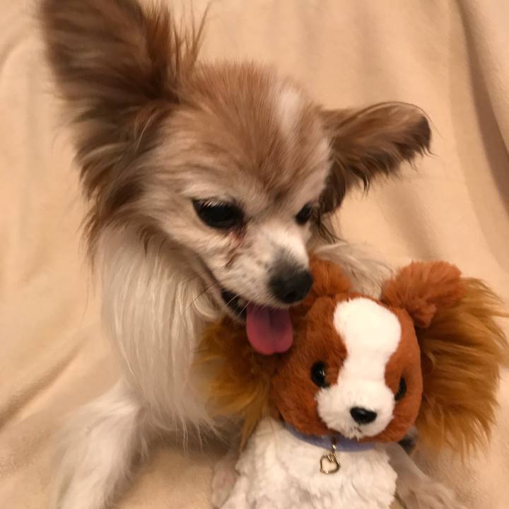 C163e825 e116 4288 8051 99bc0b615da5 1515235291246