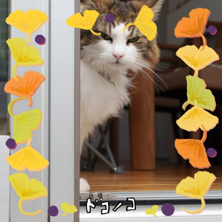 C1645a66 36b6 4922 a997 3b99ad4ef5ad 1731035764095