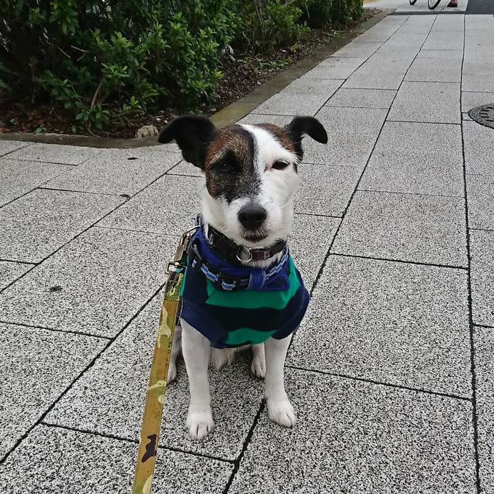 C164634e d41d 4324 8cb4 c06486d3db75 1538178259992