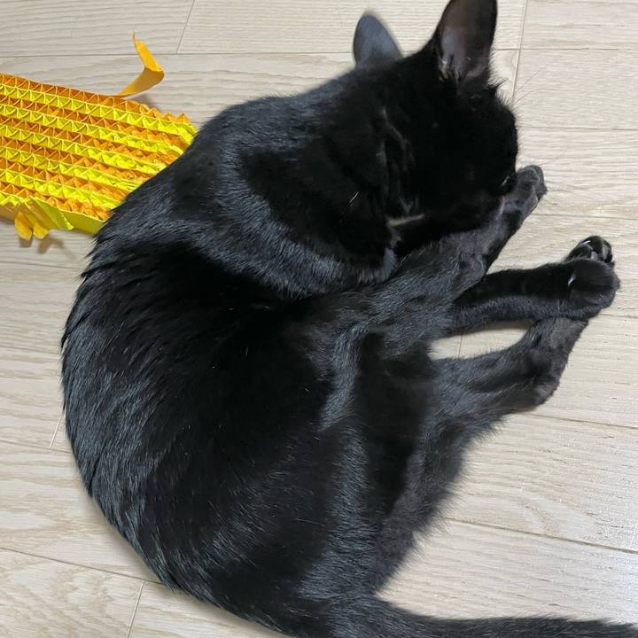 C164e4e8 6ebb 4257 97b4 9c8d73a6f154 1667914827187