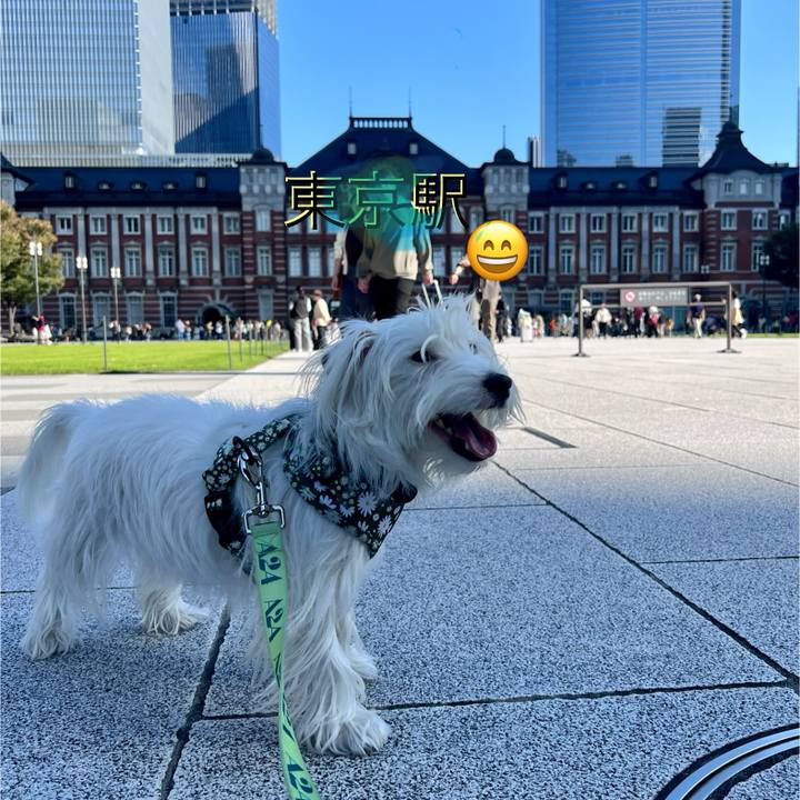 C164eb28 91eb 45ea a7dc ba8f2494dd3f 1730725106921