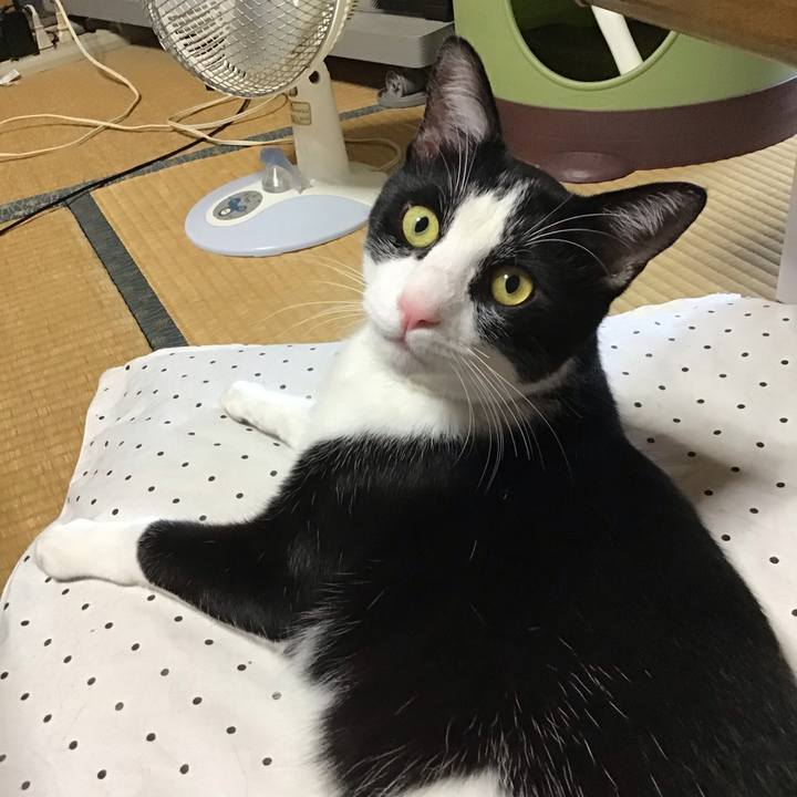 C1651318 aa79 440d a7dc fe52e5e902a9 1656412079891