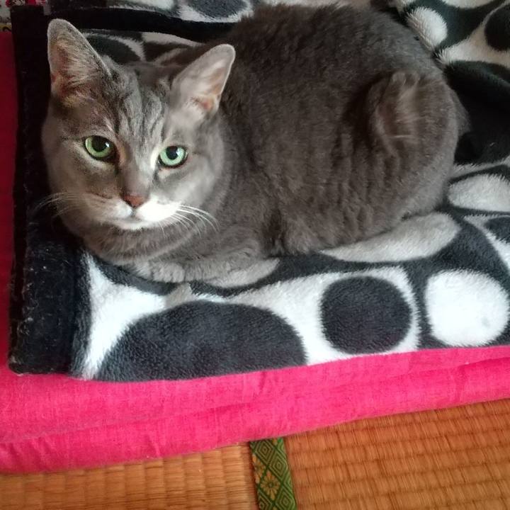 C16534a3 a694 4a33 b6a5 077fdbc7b244 1634255635405