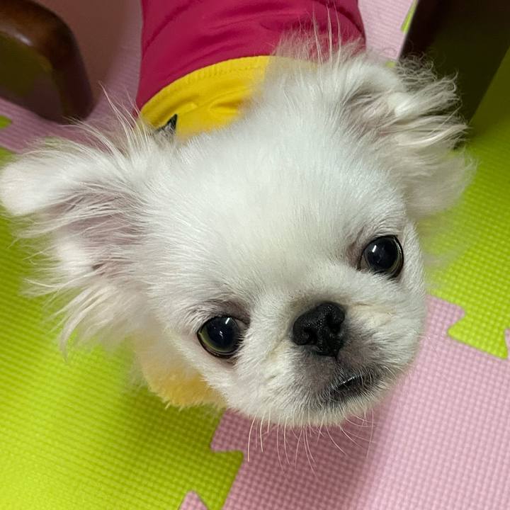 C16534e1 c95c 429f ad7c 08c4e1b47dd7 1635477356580