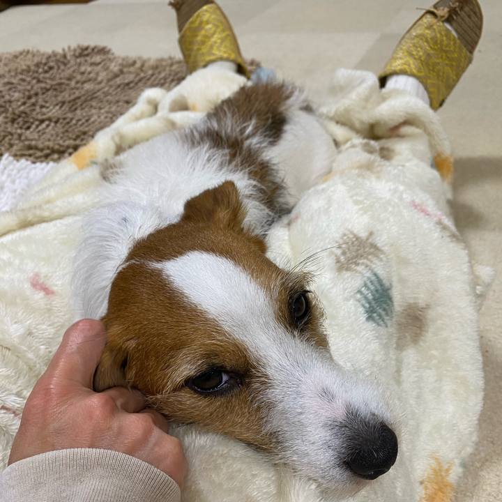 C1654070 e5be 4bbc a5be 7228b12a3714 1729514975530