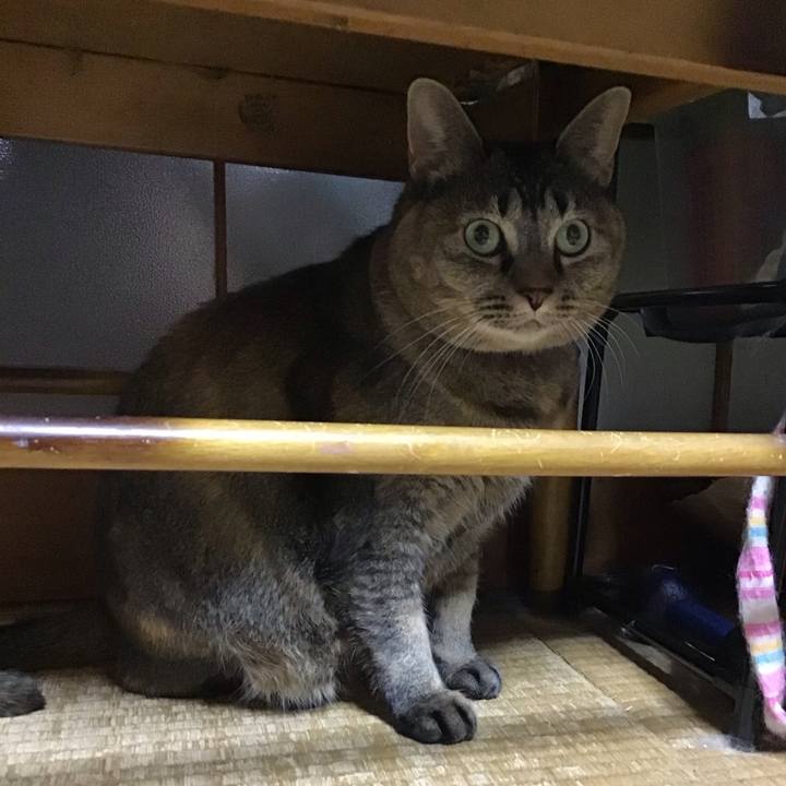 C165570b 470a 4605 920a c72a6f97dc81 1734166002245