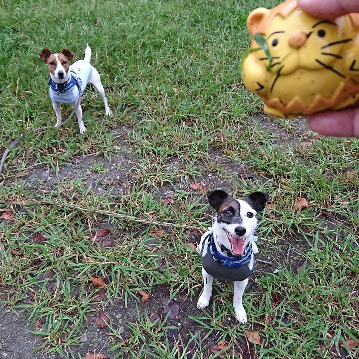 C1655eb0 1f7a 46cb 963c eb8de74a2adf 1539296881446