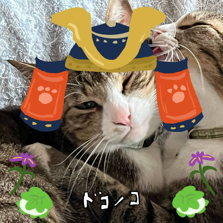 C16583de d7cb 4462 8307 ff7b7dc5e95e 1715088412281