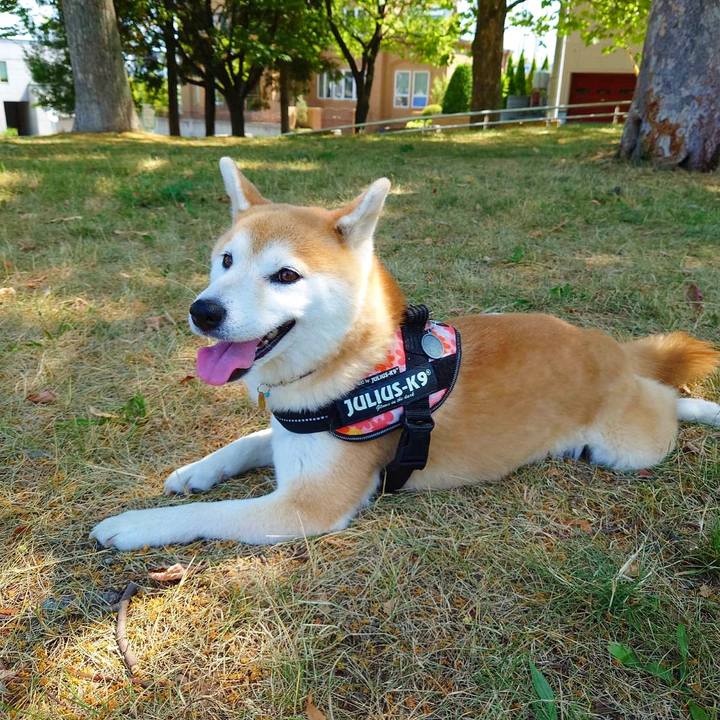 C1661794 da1f 41c7 b092 e54d5d4f3367 1626575476060