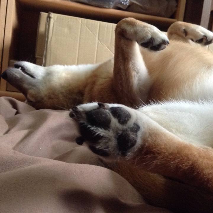 C1661a2e 765a 4038 a120 dacdee1e958d 1537097836527