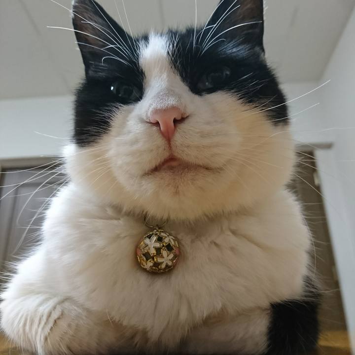 C1662094 6fa7 464e 9f92 900a0aa70e73 1593066265092