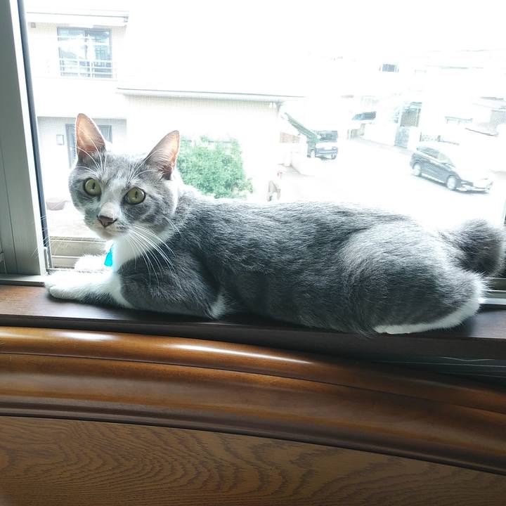 C166221a cf8e 4d99 a1ec fc067191790b 1595803723114