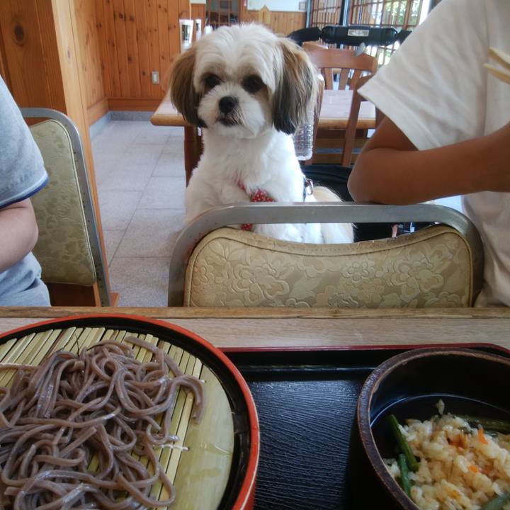 C1668b0b 161d 4a81 a34e 5f86b5ed042e 1531547784276