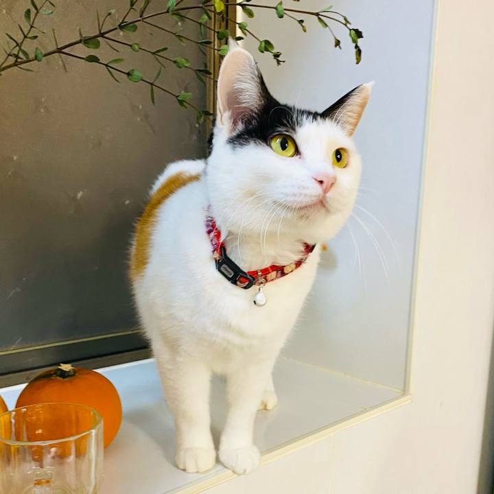 C166b968 6796 42f7 af75 8a986e9e9420 1673440030426