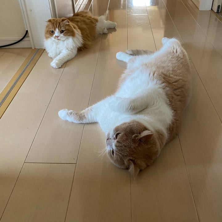 C1670d6a cd0e 4449 bdbc da2436dc5e69 1631244326751