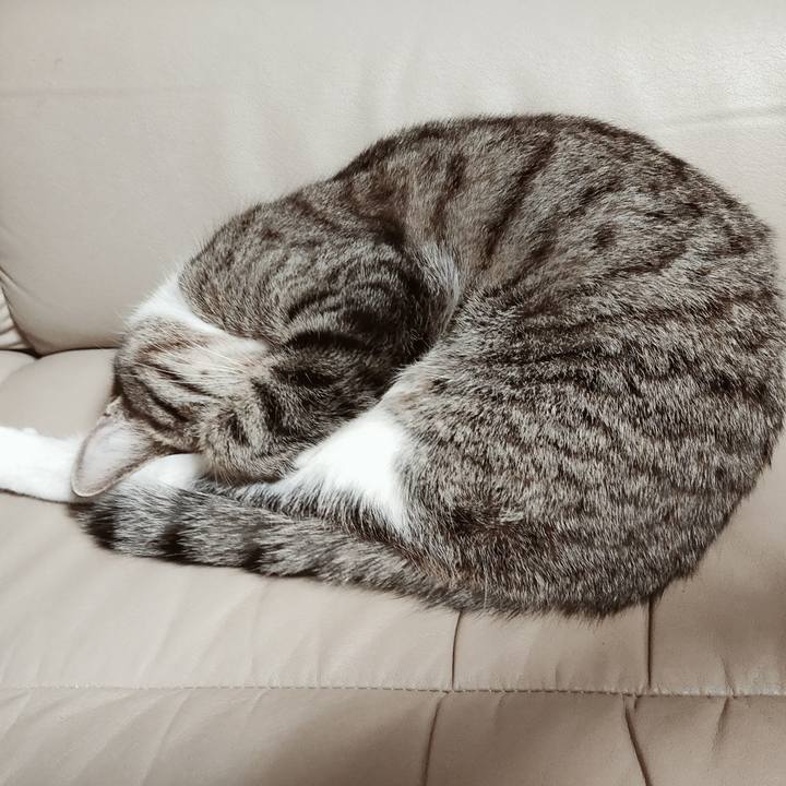 C16730d0 c685 4c84 8954 6b8a24c80e6f 1644590237339