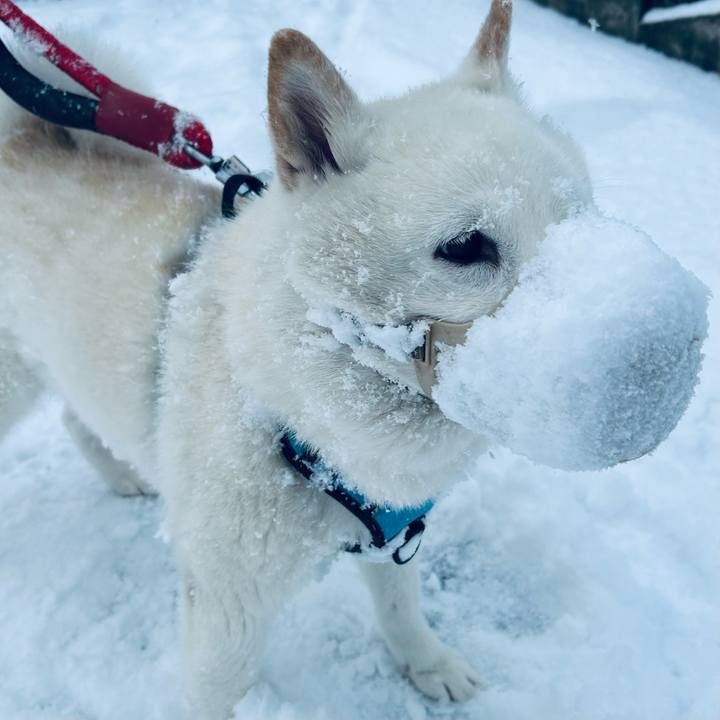 C167493d c208 4fd5 9b21 200e2f23eada 1773182175568