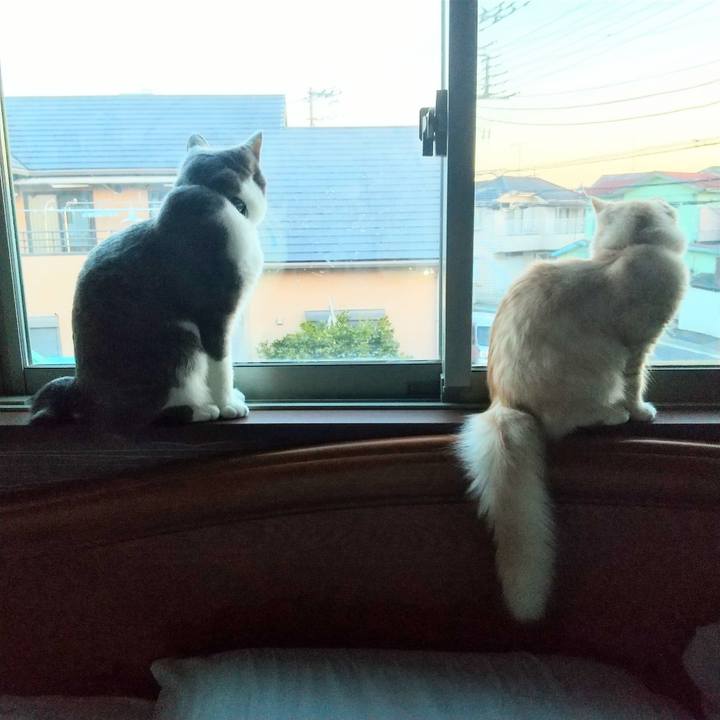 C167679f f4fb 419c 87aa 46408b9d6e56 1614035398864