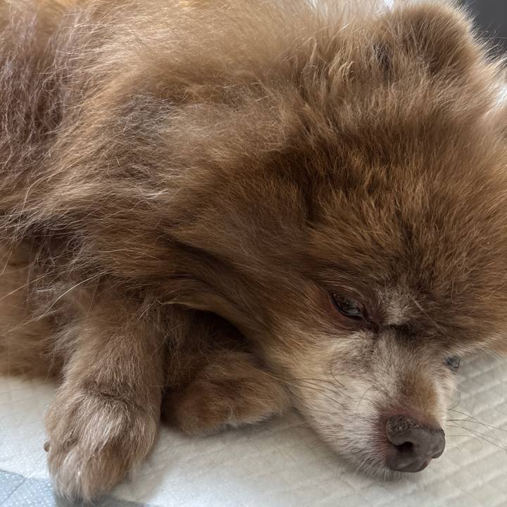 C1677f3c d69c 429c 8cad daad2db9988e 1765320117829