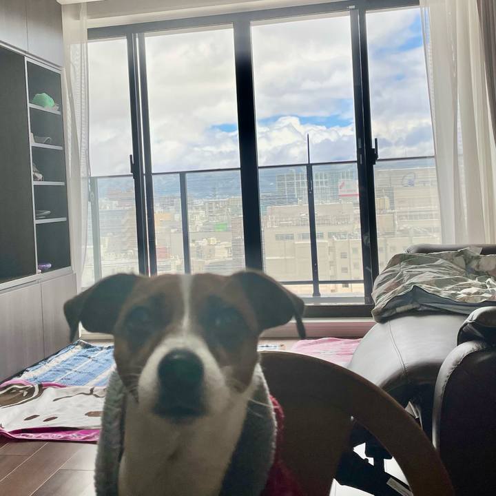 C167dd3c 5667 45d4 a924 2cd377275901 1645169217423