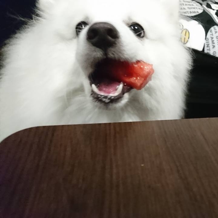 C167e84a 500d 4679 a68c e05d2cbebf0e 1562163937947